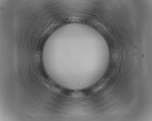 X0000070360603200606301832