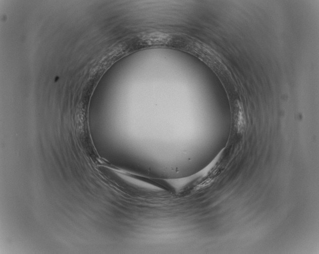 X0000070360604200606301832