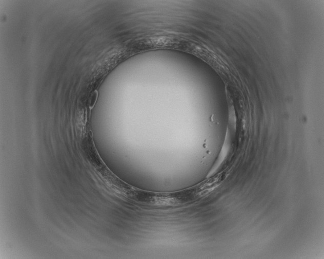 X0000070360605200606301832