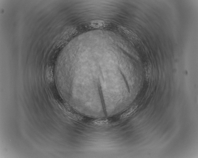 X0000070360606200606301832