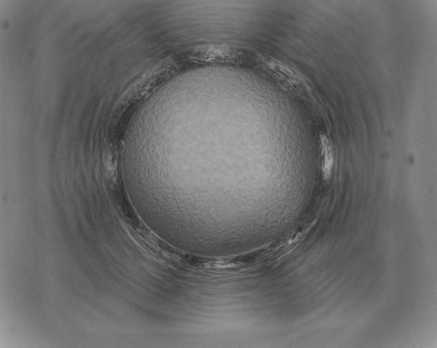 X0000070360607200606301832