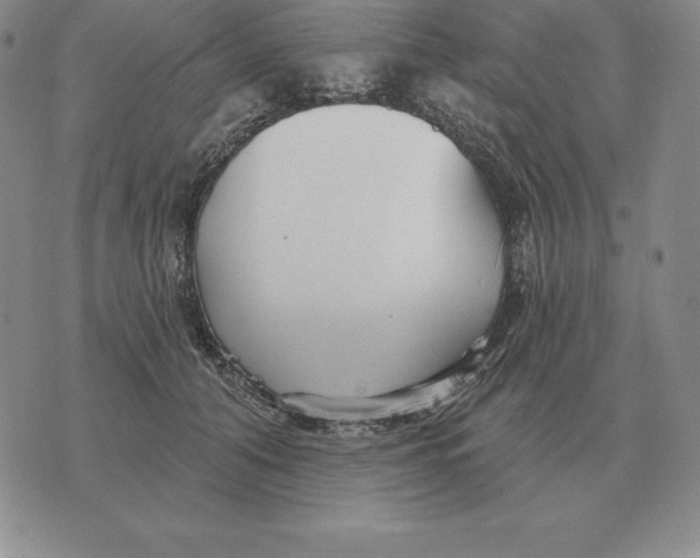 X0000070360608200606301832