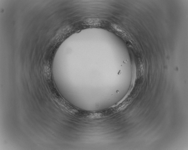 X0000070360609200606301832