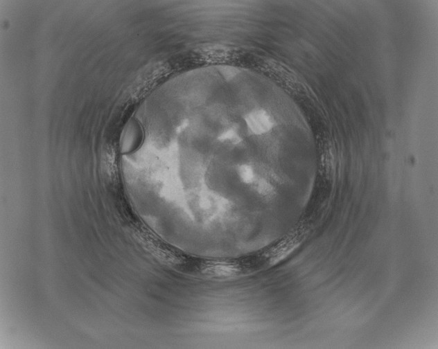 X0000070360610200606301832