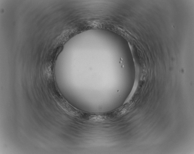 X0000070360611200606301832