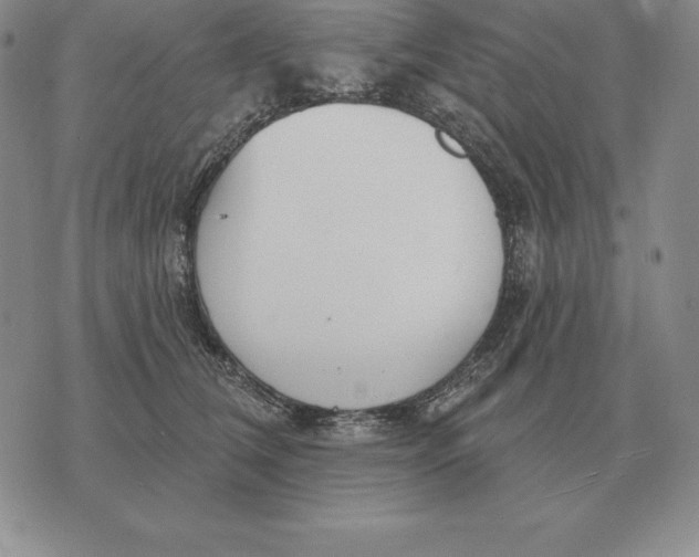 X0000070360612200606301832