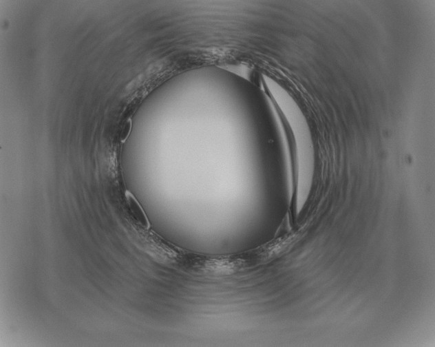 X0000070360613200606301832