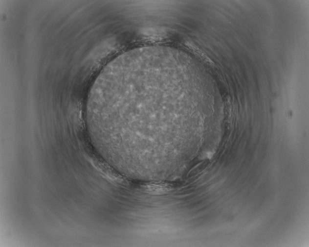 X0000070360615200606301832