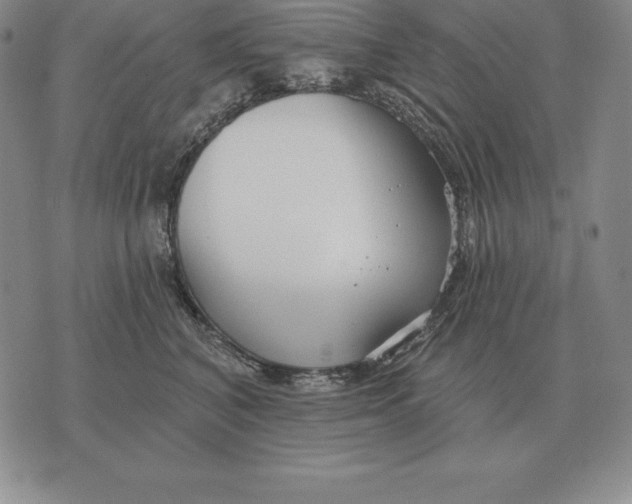 X0000070360616200606301832