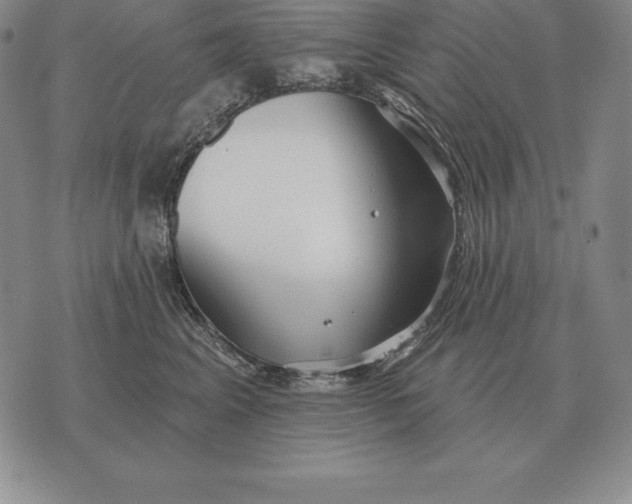 X0000070360617200606301832