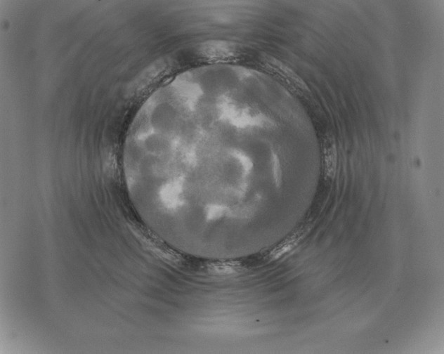 X0000070360618200606301832