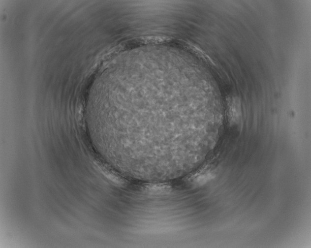 X0000070360619200606301832