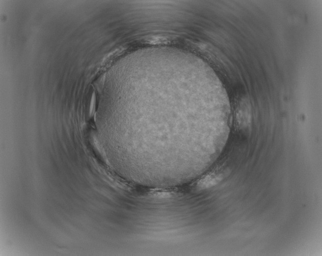 X0000070360620200606301832