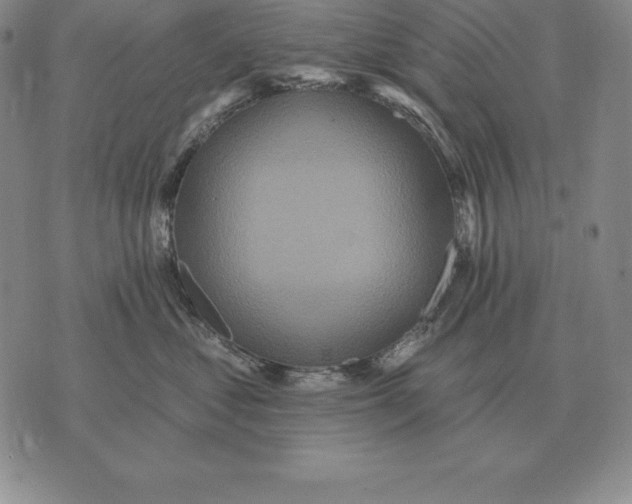 X0000070360621200606301832