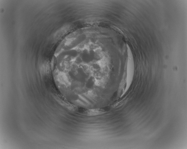 X0000070360623200606301832