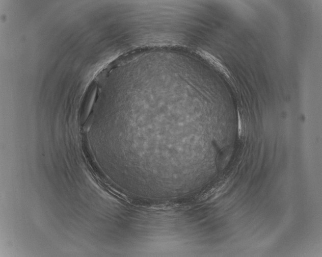 X0000070360627200606301831