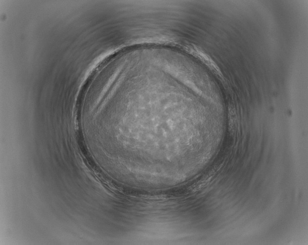 X0000070360628200606301831