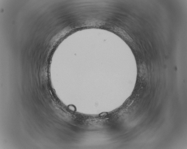 X0000070360632200606301831