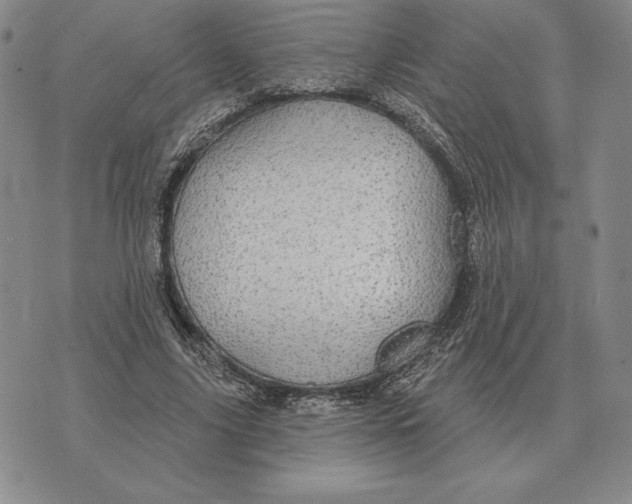 X0000070360635200606301832