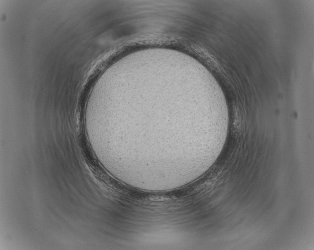 X0000070360636200606301832