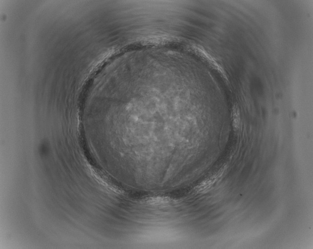 X0000070360637200606301832