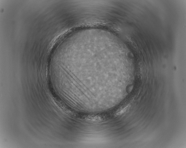 X0000070360640200606301832