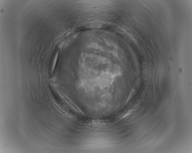 X0000070360641200606301832