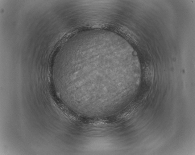 X0000070360643200606301832