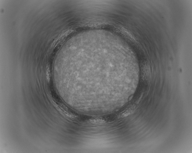 X0000070360644200606301832