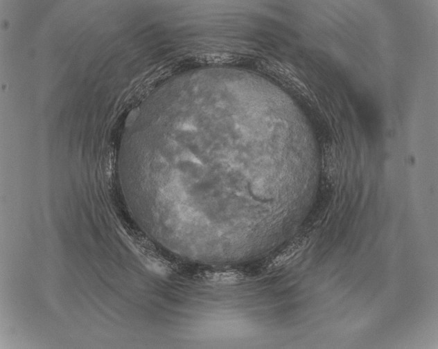 X0000070360645200606301832