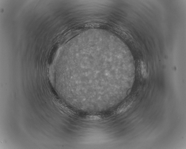 X0000070360649200606301832