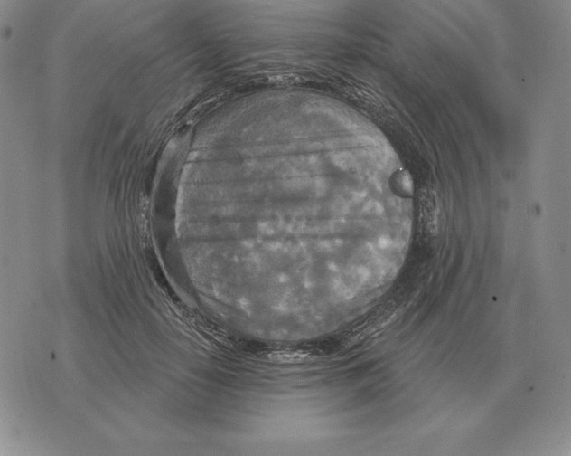 X0000070360650200606301832