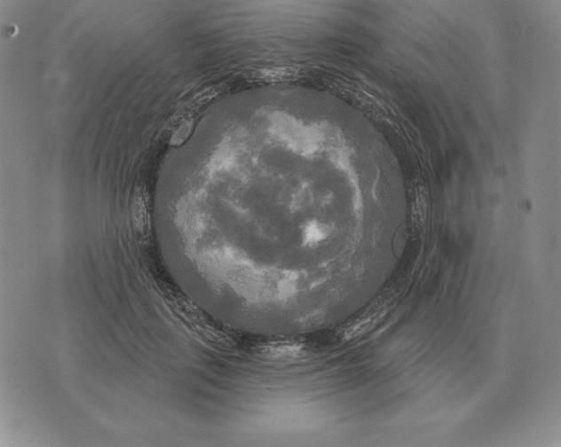 X0000070360651200606301832