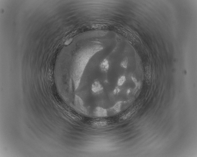 X0000070360653200606301832