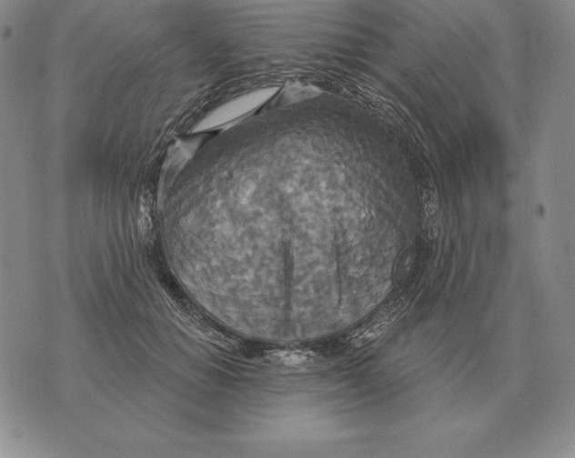 X0000070360654200606301832