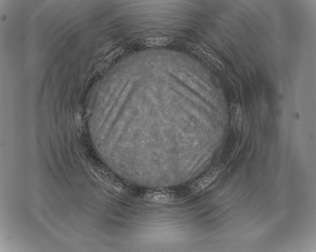 X0000070360655200606301832