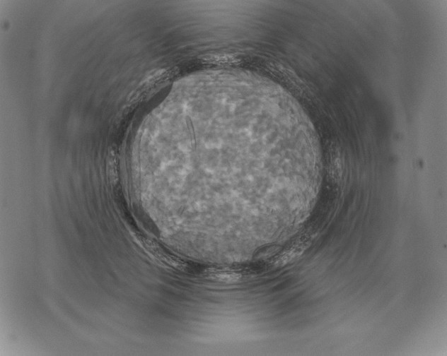 X0000070360658200606301832