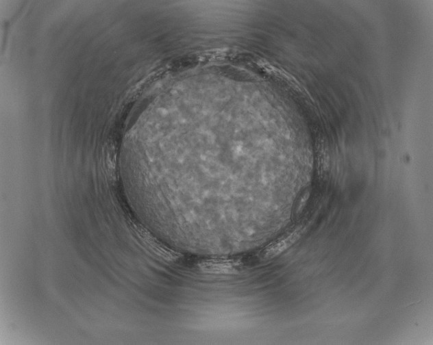 X0000070360661200606301832