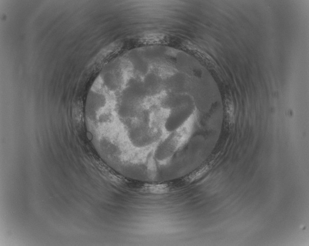 X0000070360665200606301832