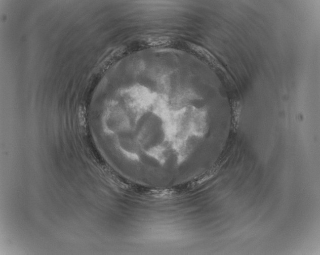 X0000070360667200606301832