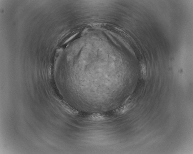 X0000070360668200606301832