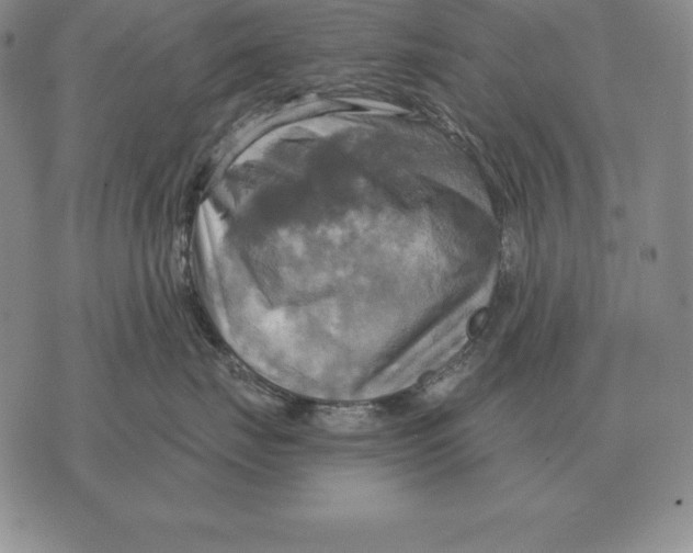 X0000070360671200606301832