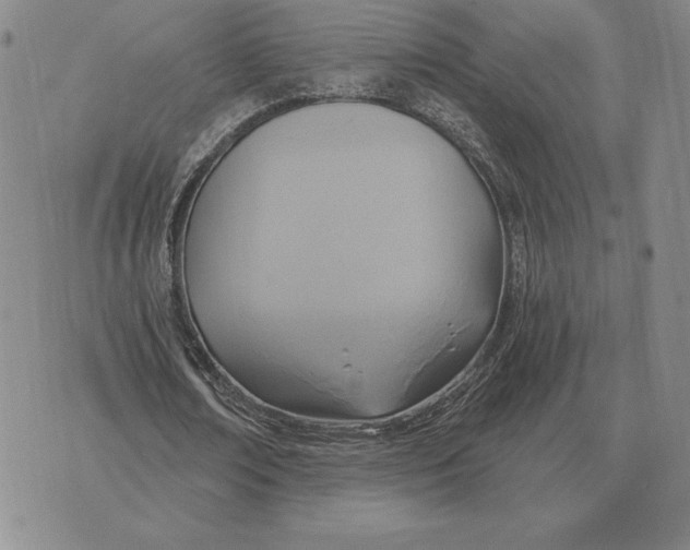 X0000070360674200606301831