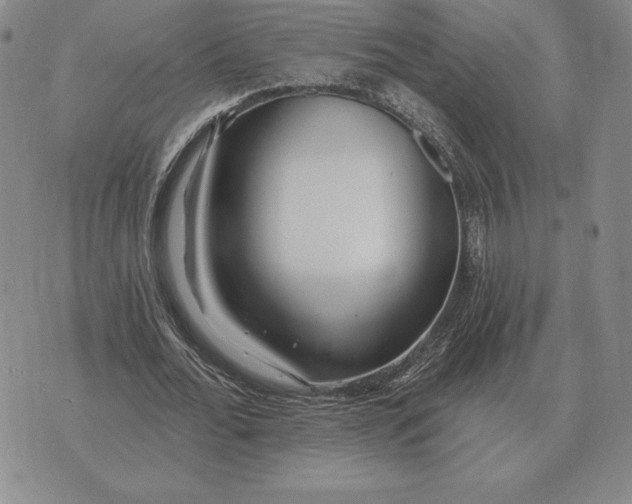 X0000070360676200606301831