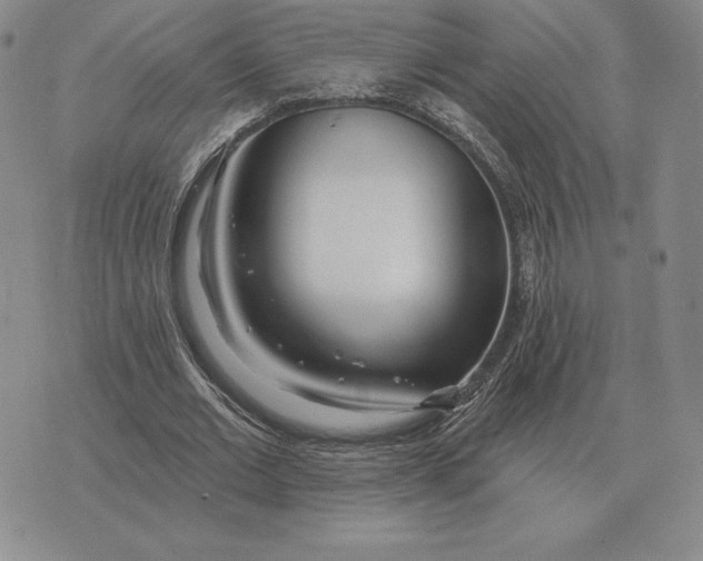 X0000070360677200606301831