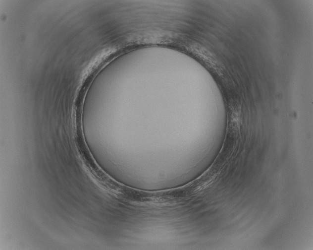 X0000070360678200606301831