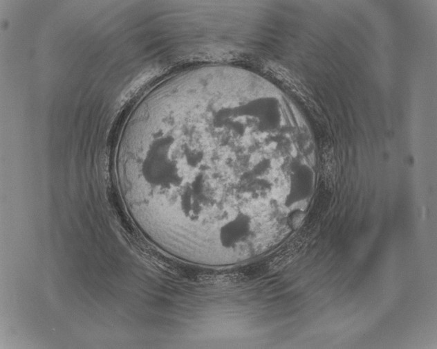 X0000070360679200606301831