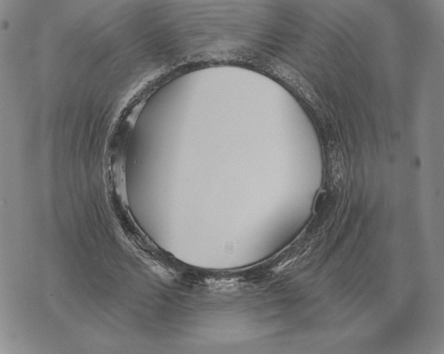 X0000070360680200606301831