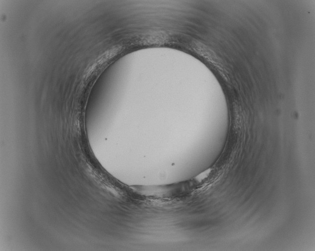 X0000070360681200606301831