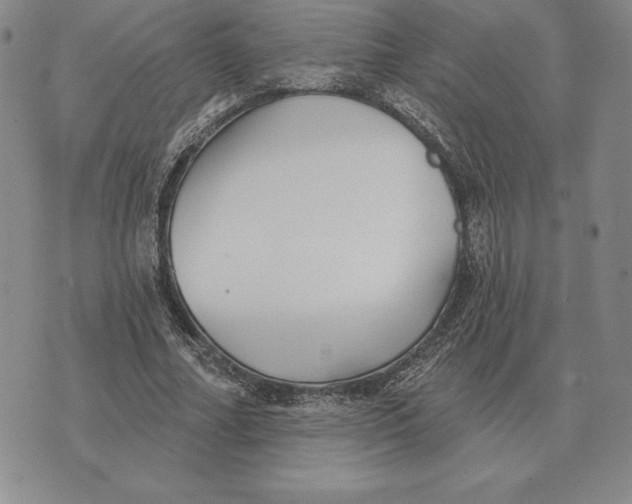 X0000070360682200606301831